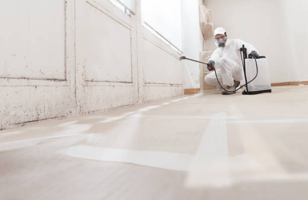 24/7 Emergency Attic Mold Removal experts in Yeagertown, PA