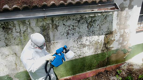 Top rated local Attic Mold Removal specialists in Yeagertown, PA
